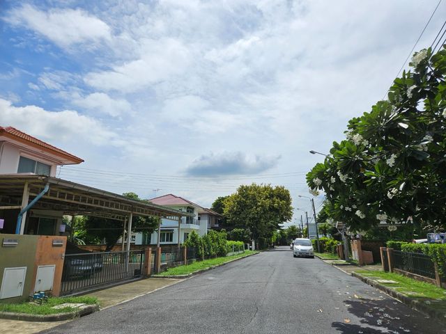 place photo 41
