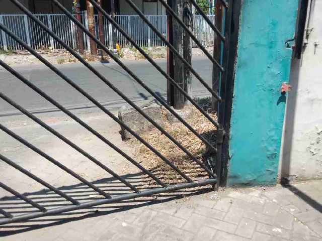 place photo 15