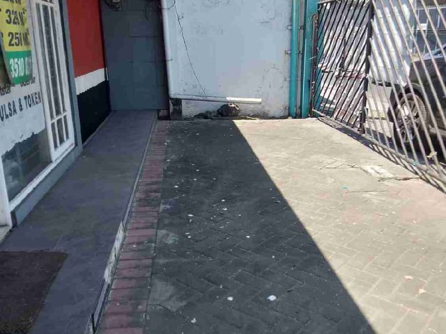 place photo 12