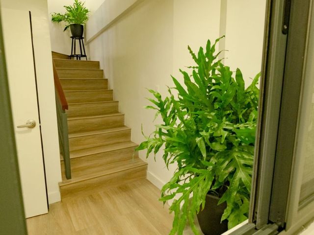 place photo 46