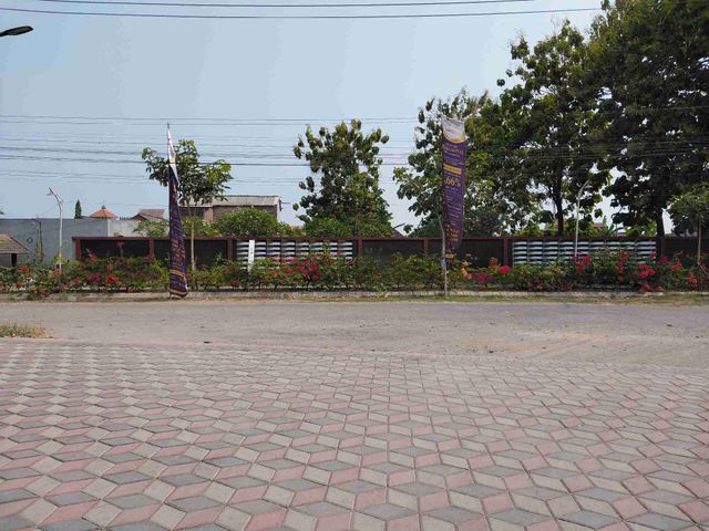 place photo 20