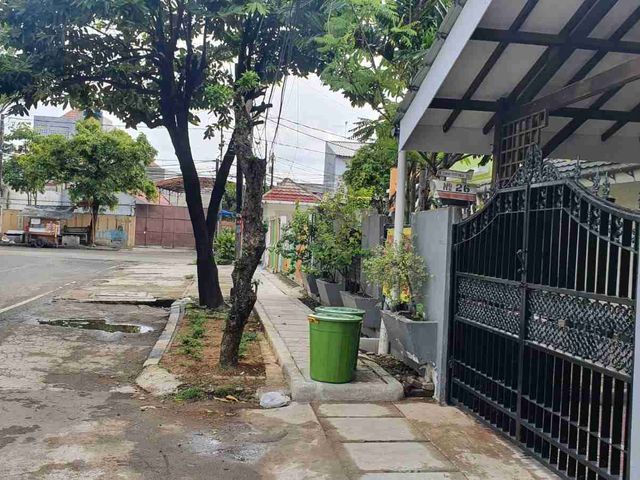 place photo 11