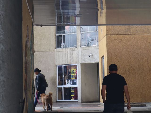 place photo 38
