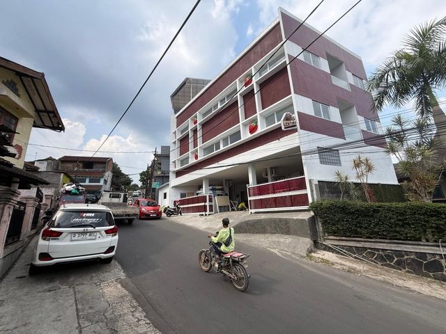 place photo 14