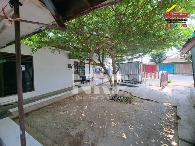 place photo 11