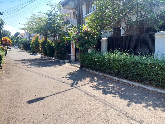 place photo 13