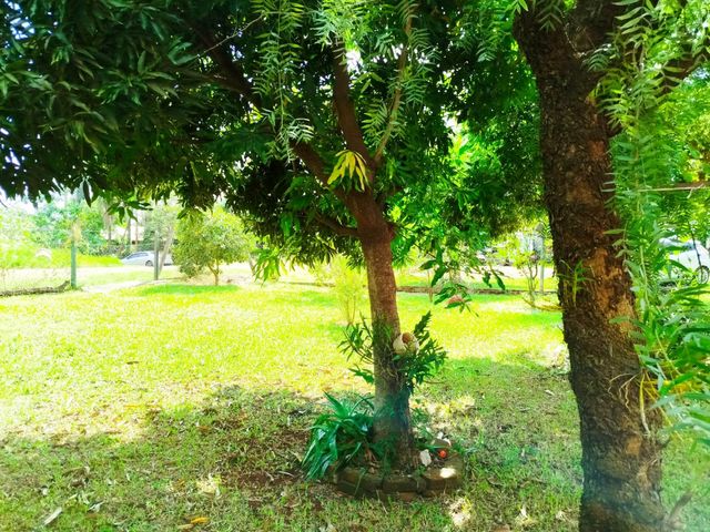 place photo 23