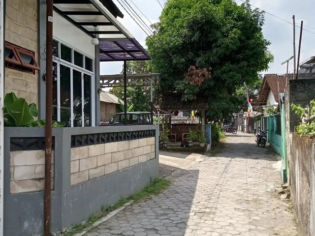 place photo 7