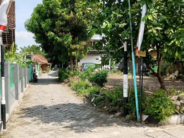 place photo 10
