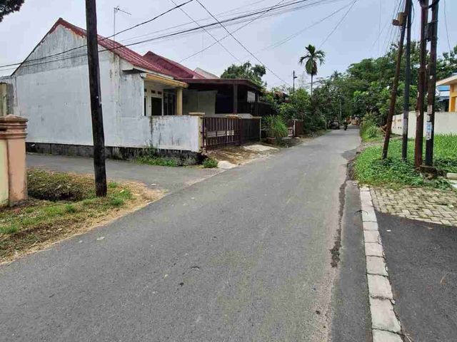 place photo 17