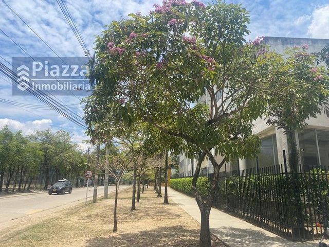 place photo 28