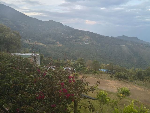 place photo 57