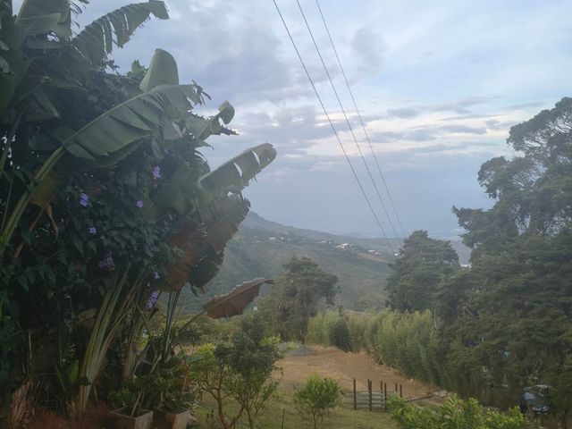 place photo 81