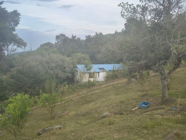 place photo 77