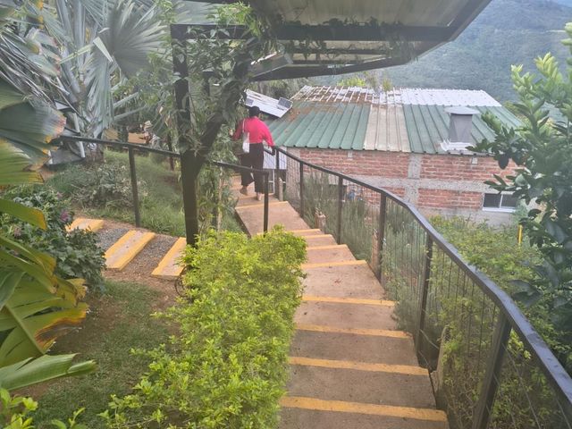 place photo 79