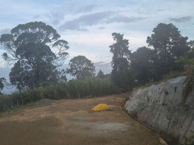 place photo 76