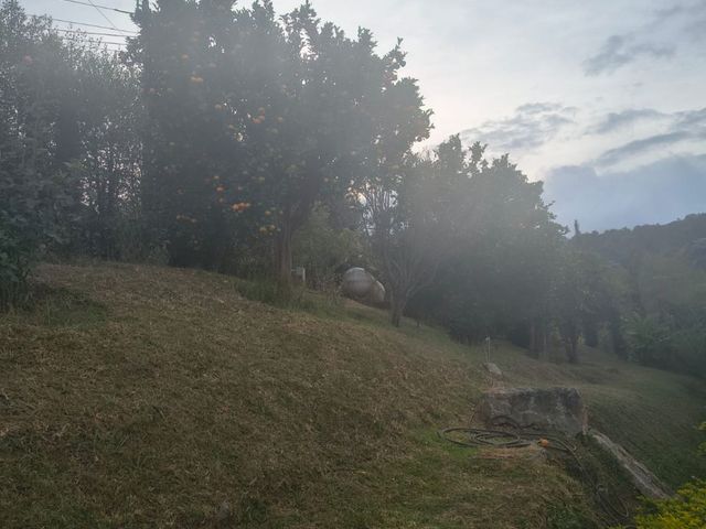 place photo 101