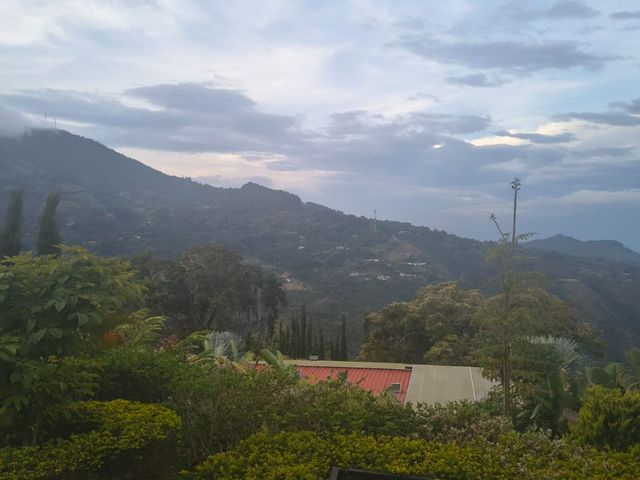 place photo 54
