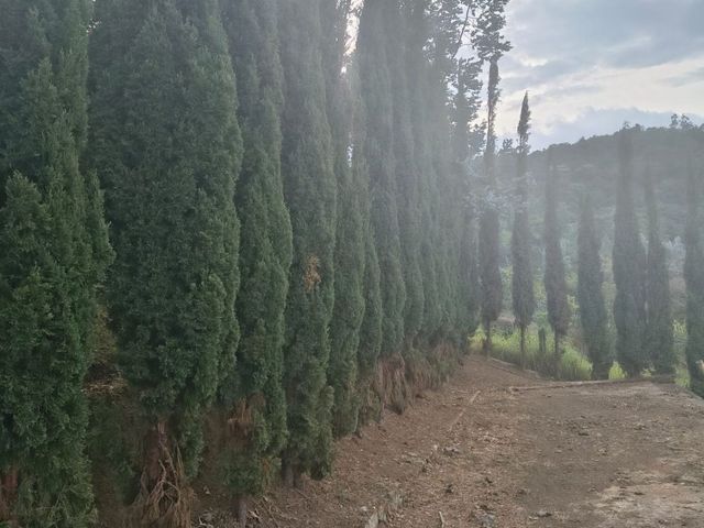 place photo 90