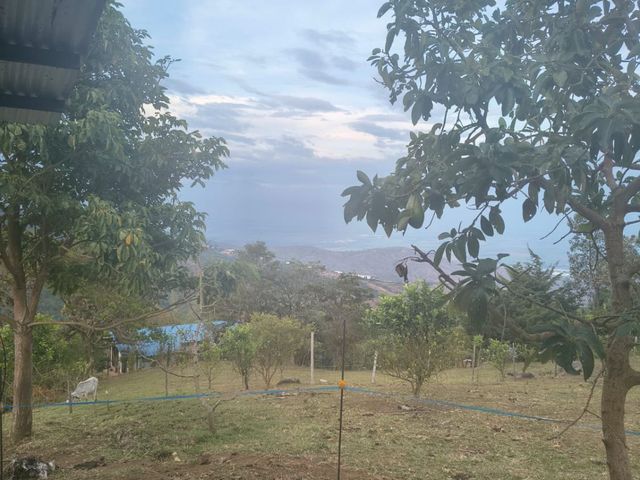 place photo 89