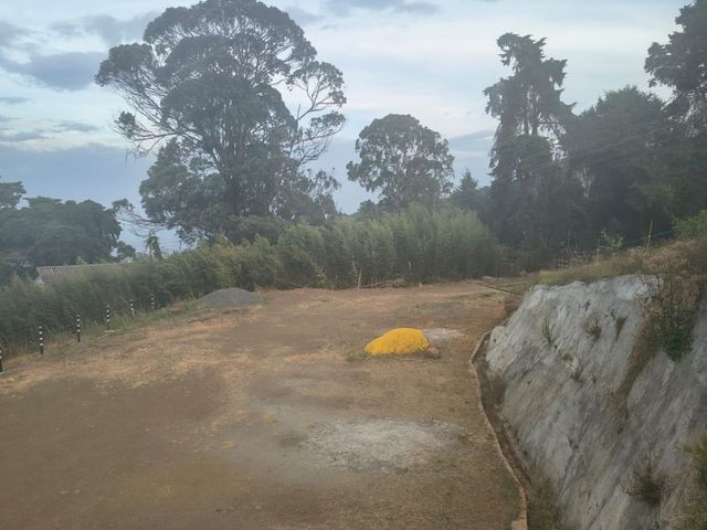 place photo 85