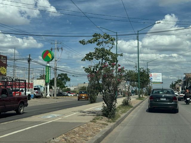 place photo 14