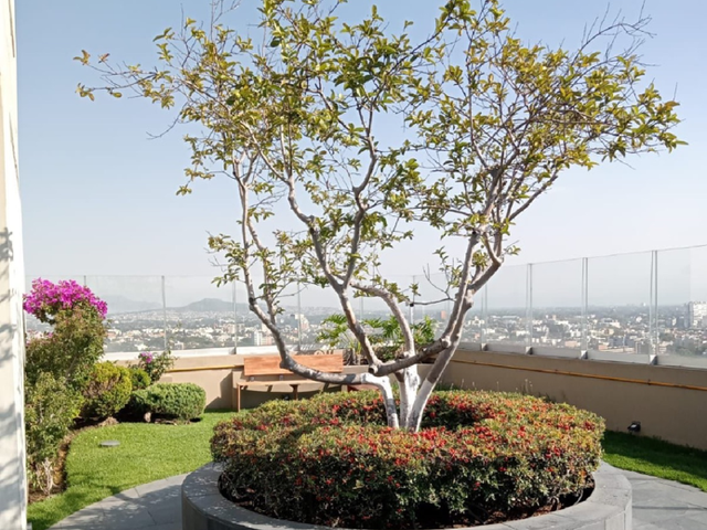 place photo 29