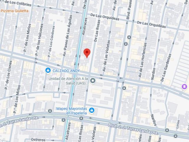 place photo 17