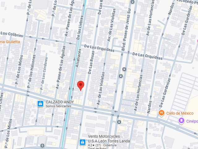 place photo 18