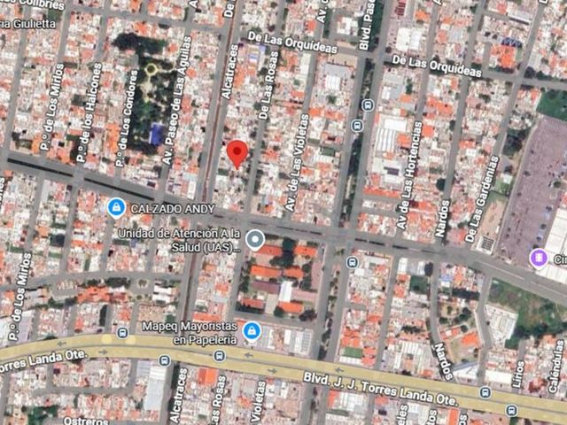 place photo 21