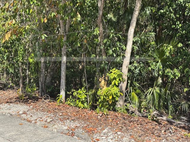 place photo 32