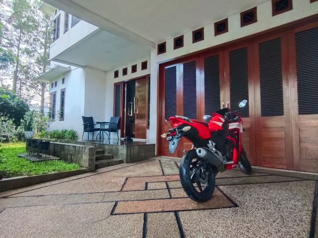 place photo 26