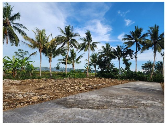 place photo 6