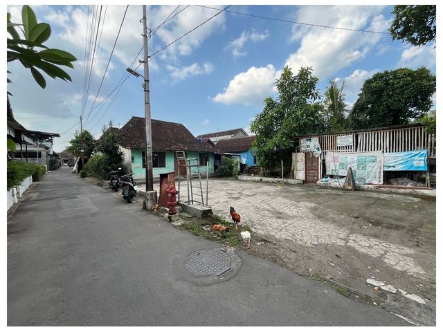 place photo 9