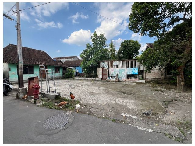 place photo 9