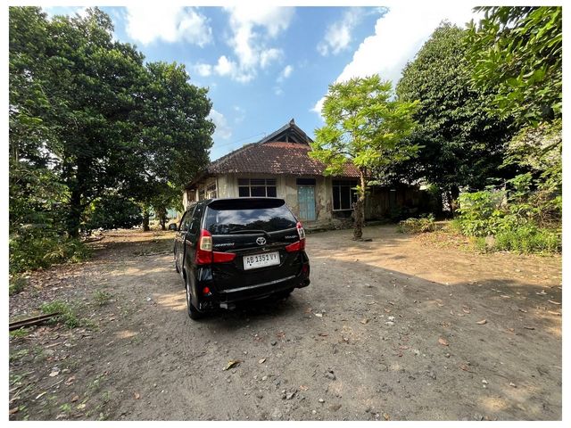 place photo 10