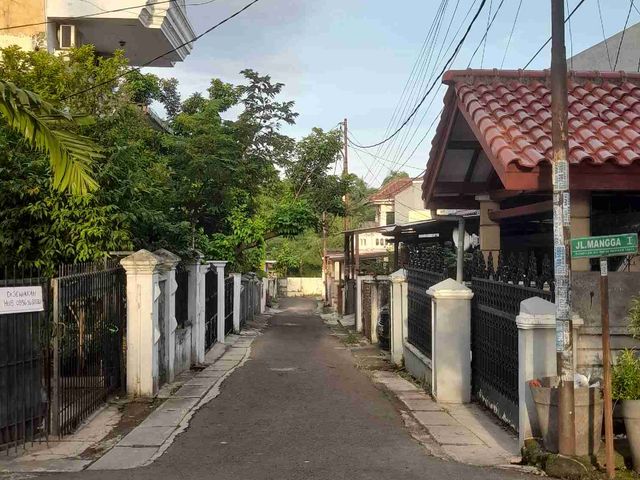 place photo 16
