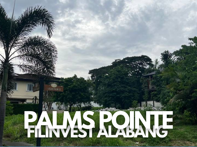 Corner Residential Lot for Sale in Palms Pointe, Filinvest Alabang - 333 sqm