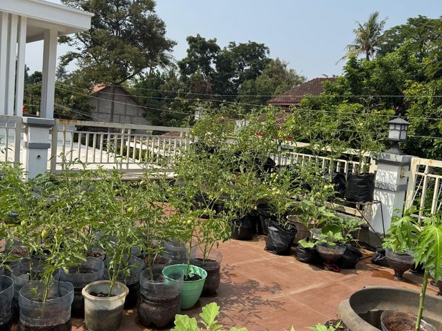 place photo 21