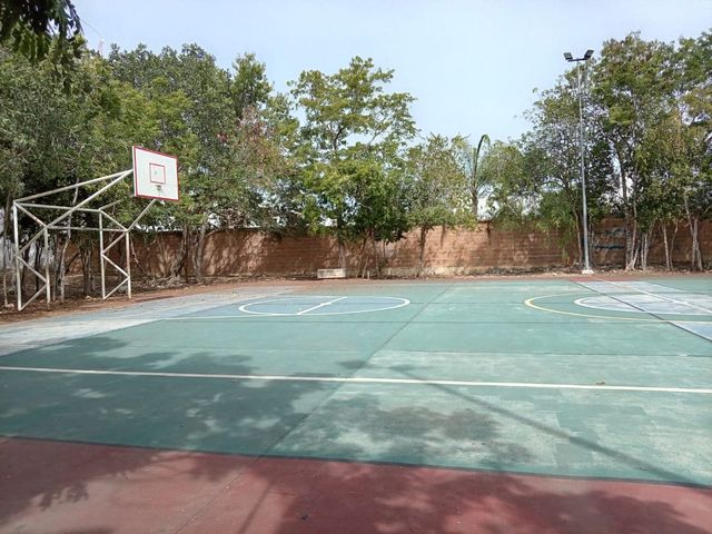 place photo 6