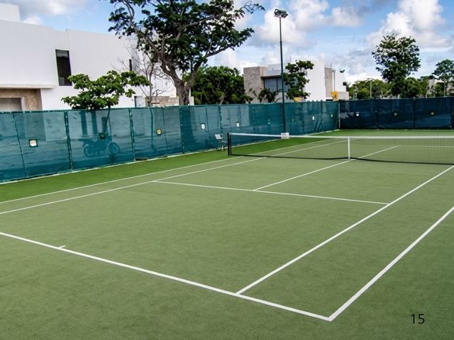 place photo 15