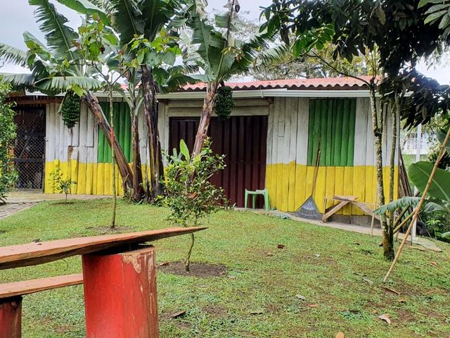 place photo 45