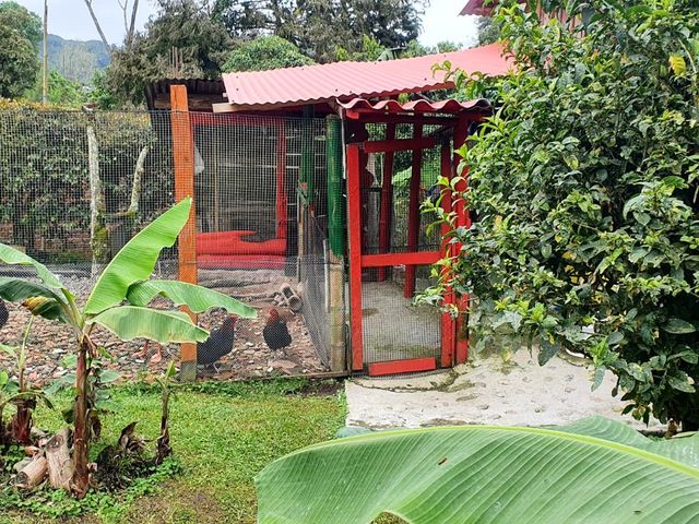 place photo 47