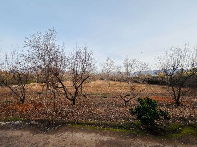 place photo 35