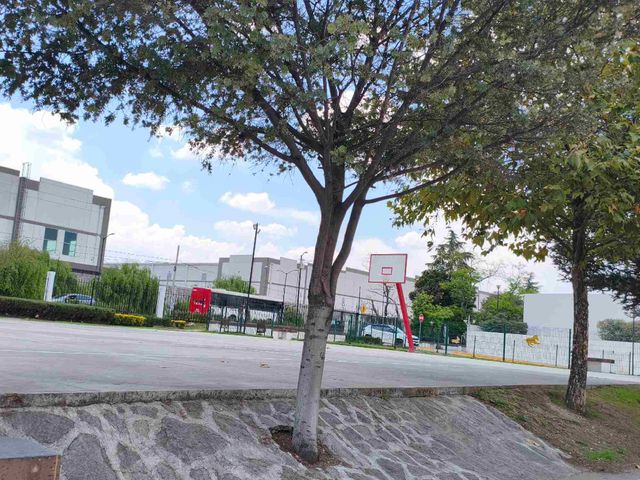 place photo 40