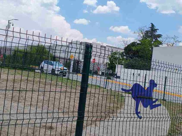 place photo 42