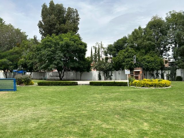 place photo 41