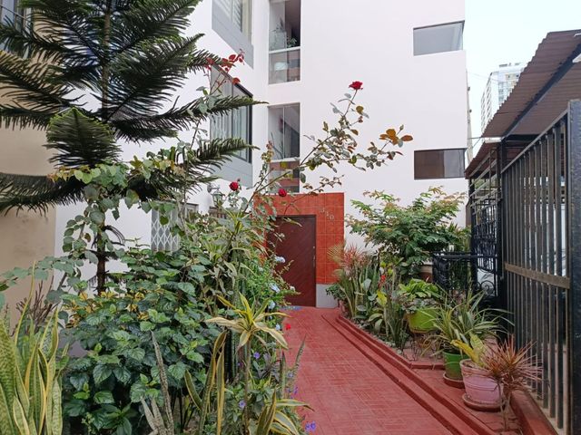 place photo 16