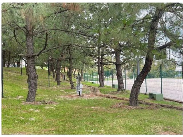 place photo 27