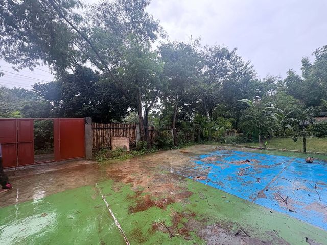 place photo 18